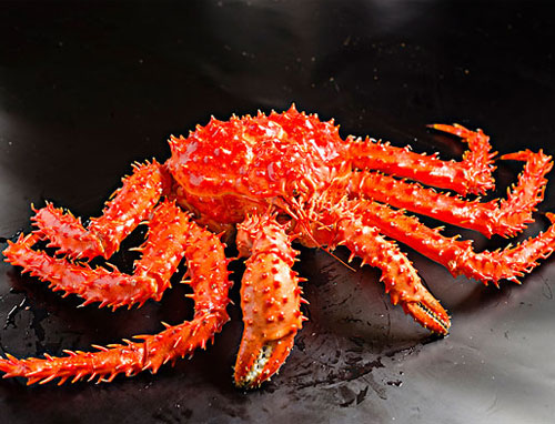 帝王蟹（King Crab）是一种极为珍贵和美味的海鲜食材