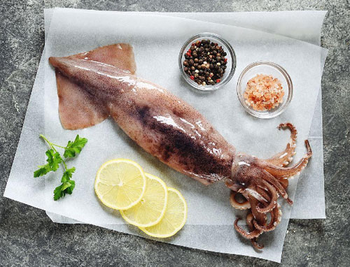 鱿鱼（Squid）也被称为枪乌贼或柔鱼。