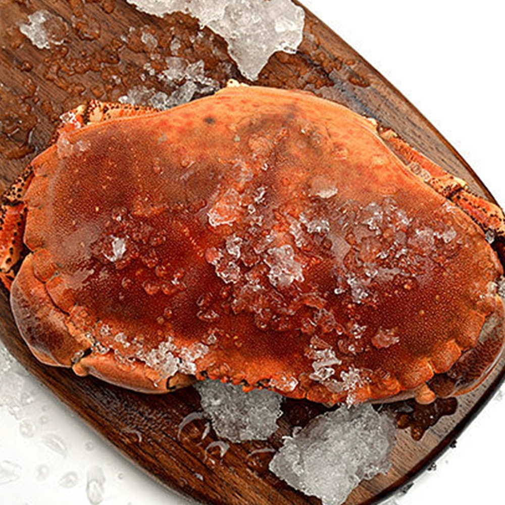 海产面包蟹