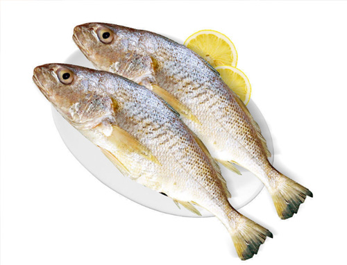 黄姑鱼（Yellow Croaker）也被称为黄鳍鱼、小黄鱼等。