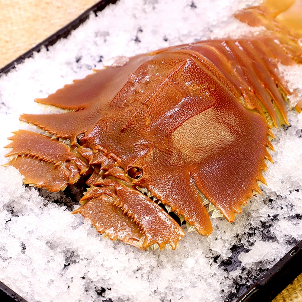 琵琶虾价格