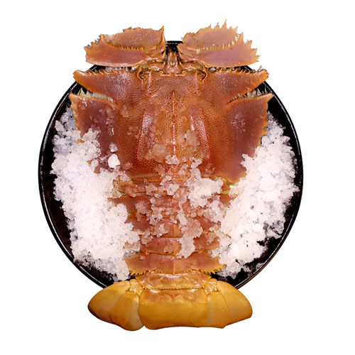 琵琶虾 8-10只/1kg