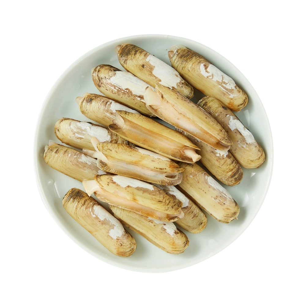 缢蛏价格