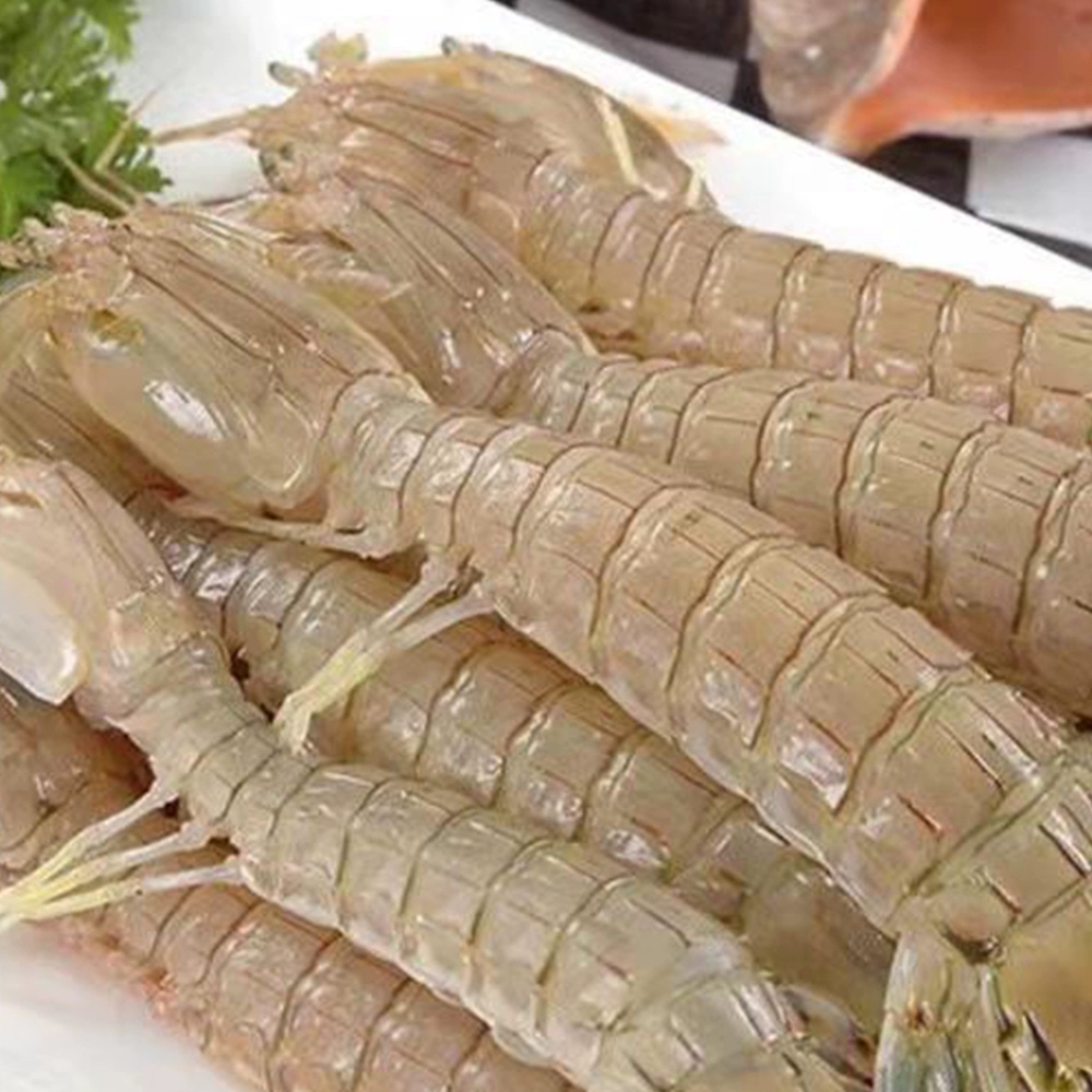 海鲜批发-皮皮虾