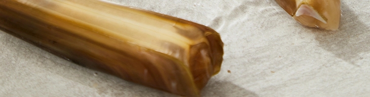 20230617_225850_039.jpg