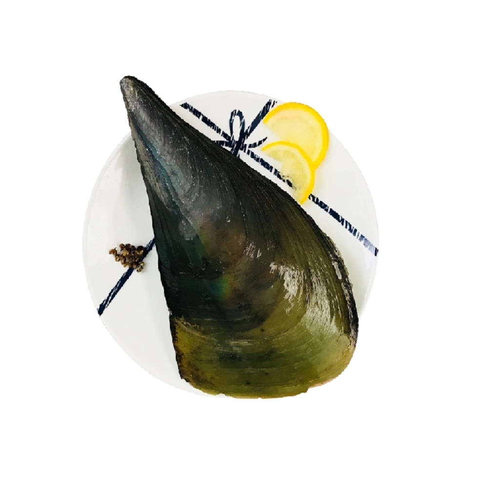 带子