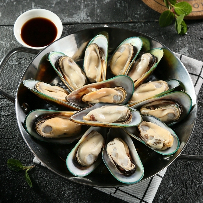 海鲜批发新西兰青口