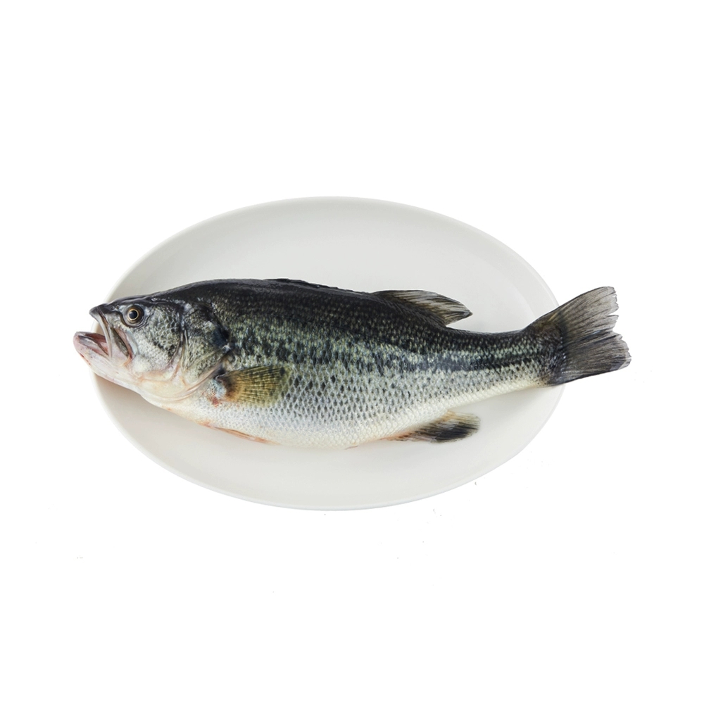 鲈鱼价格