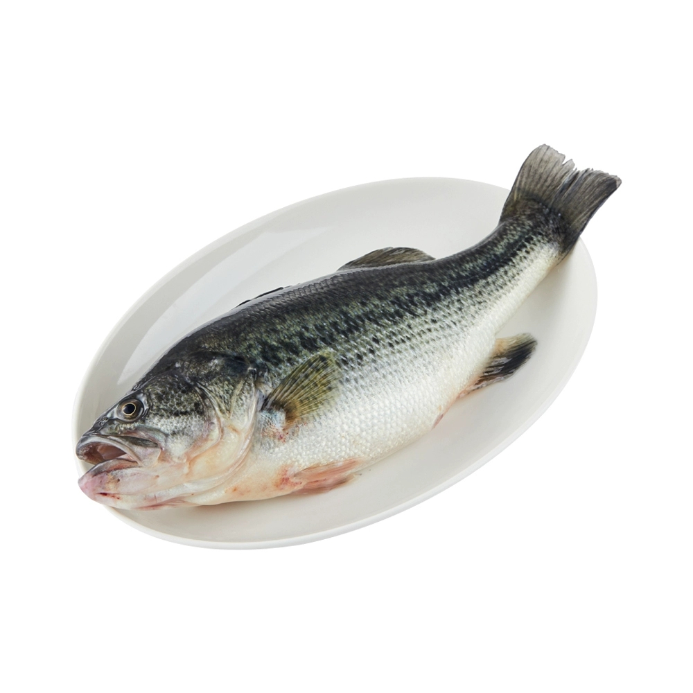 鲈鱼