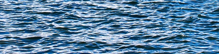 20230620_222015_046.jpg