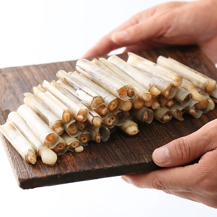 白竹蛏价格