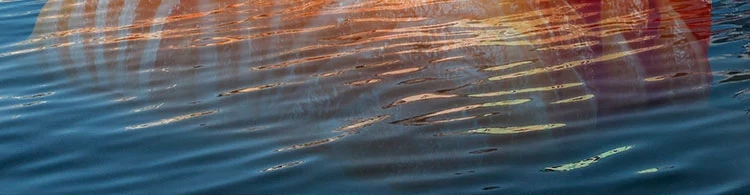 20230628_224408_010.jpg
