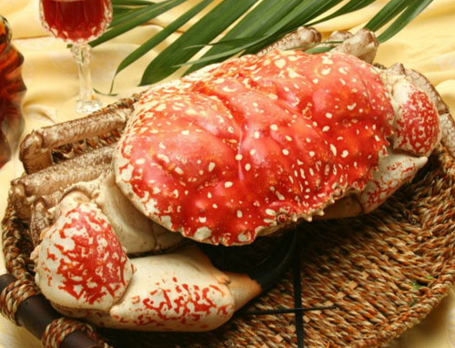 皇帝蟹一般指巨大拟滨蟹