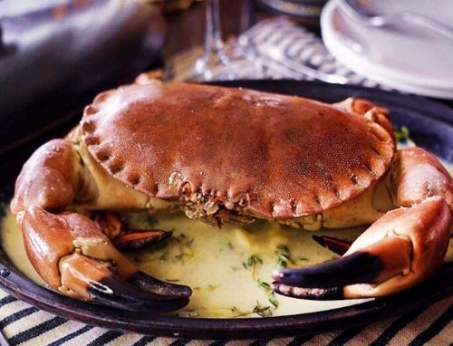 面包蟹是节肢动物门甲壳纲十足目动物。