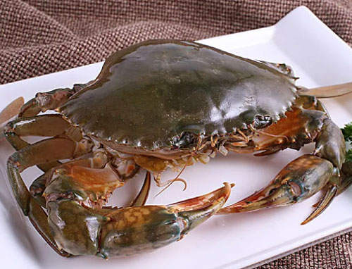 三门青蟹，中国浙江省三门县特产。