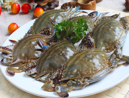 三疣梭子蟹（学名：Portunus trituberculatus）