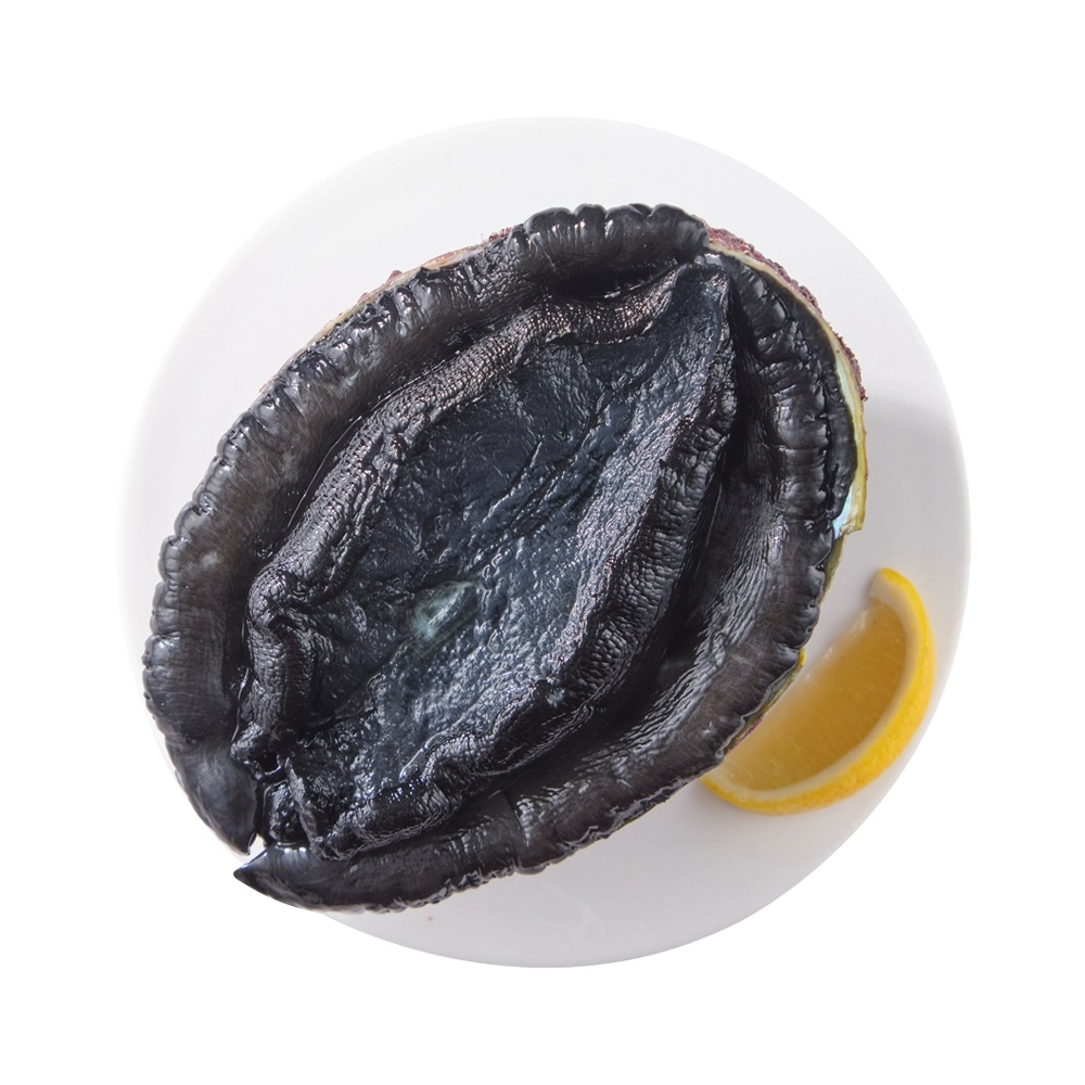 黑金鲍价格