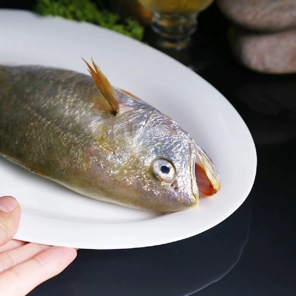 海鲜批发黄鱼
