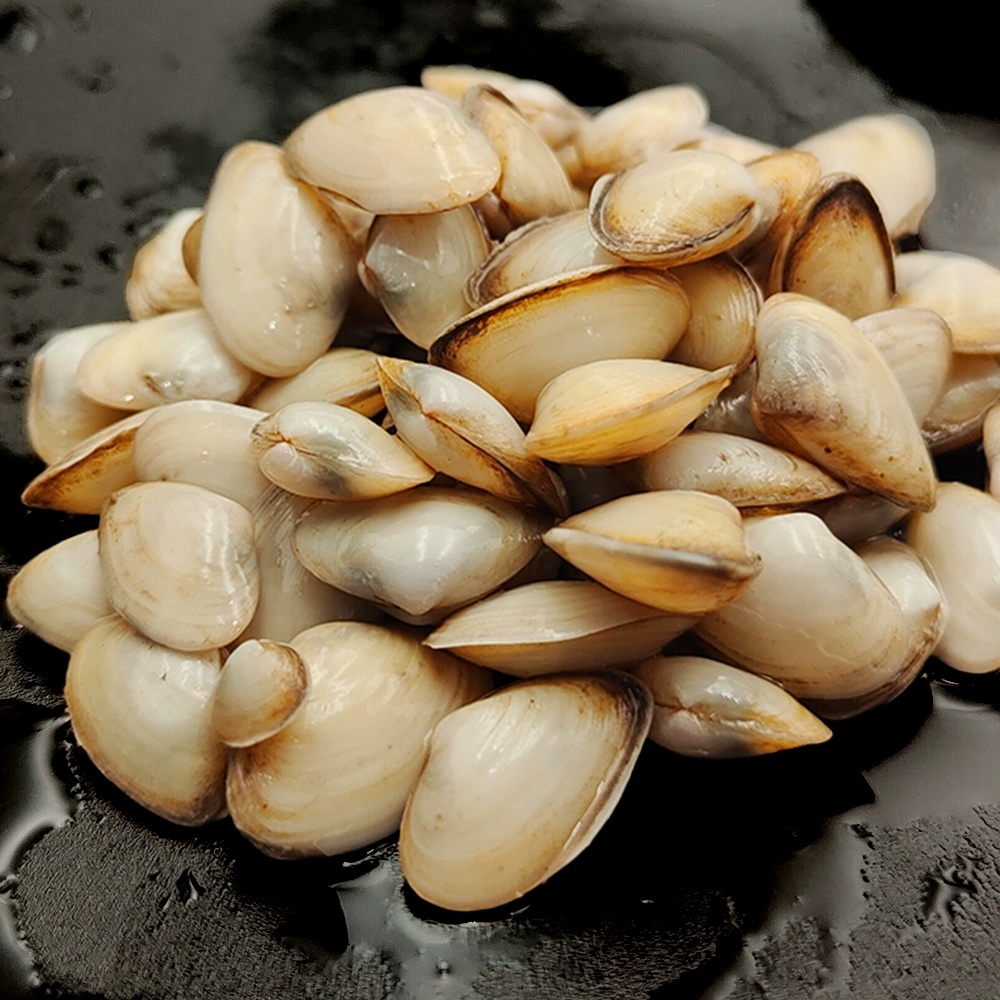 海产白海瓜子