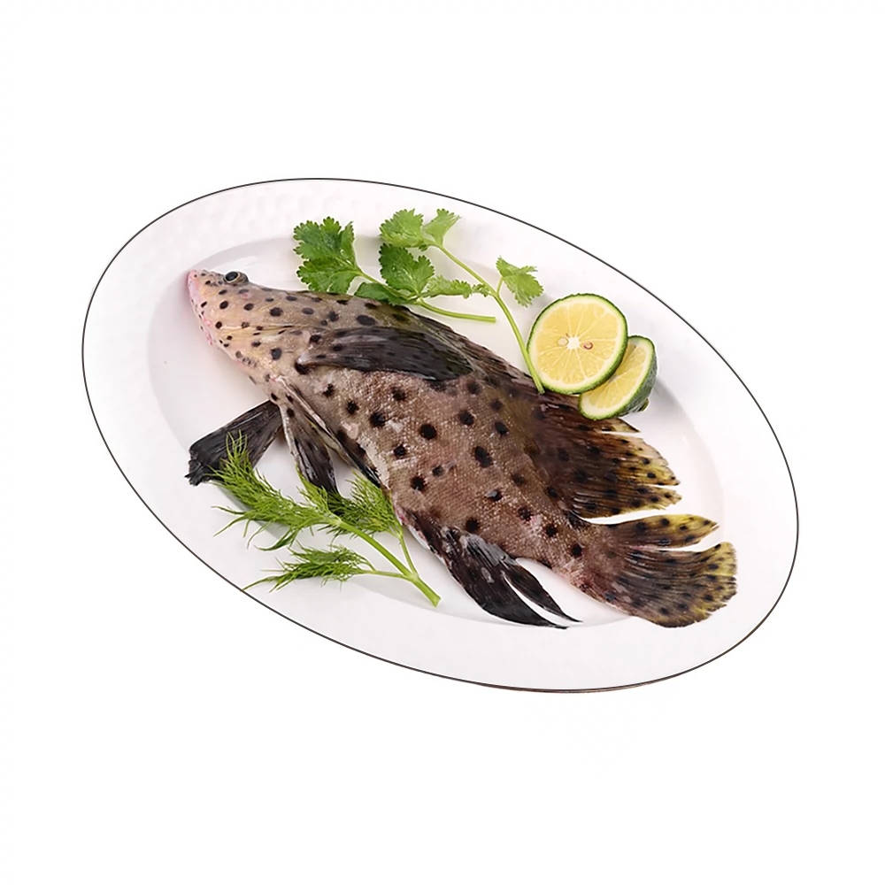 老鼠斑