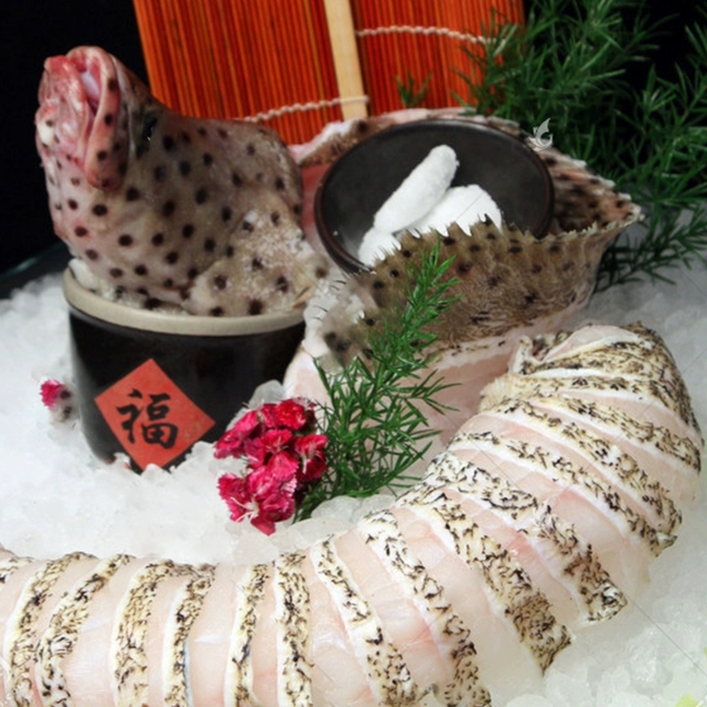 老鼠斑价格