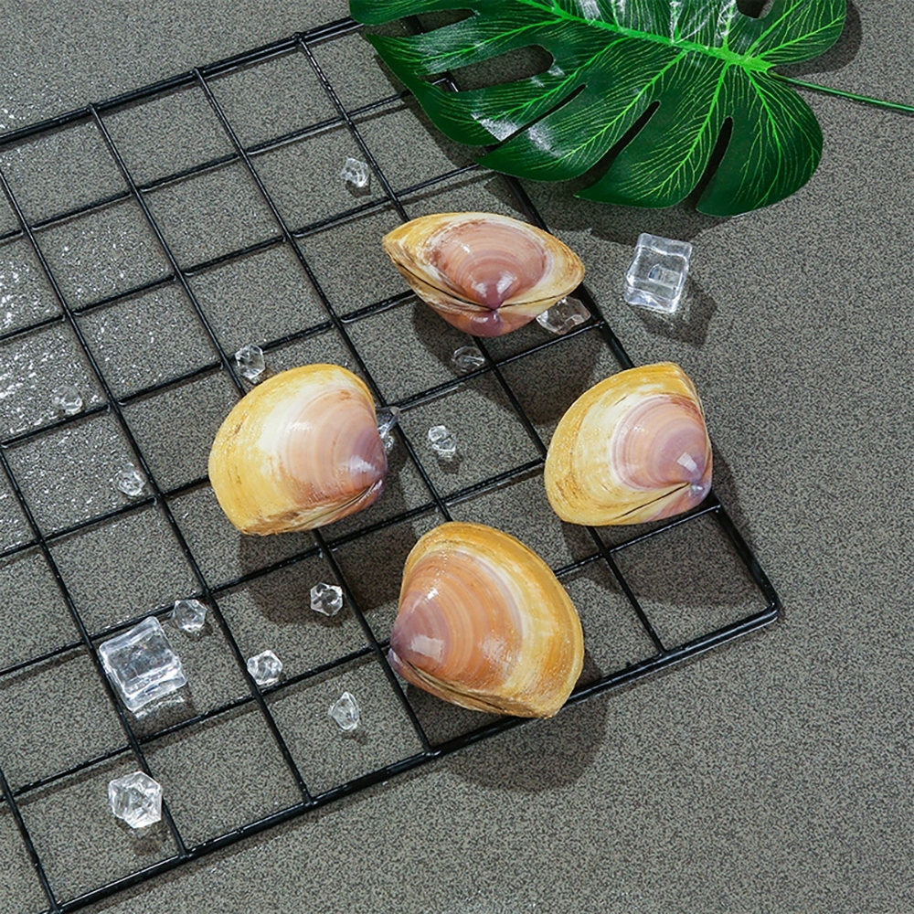海产西施贝