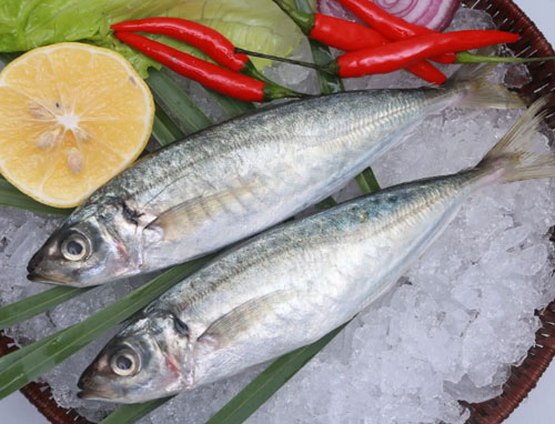 竹荚鱼（Barramundi）别名真鲹、巴浪、山鲐鱼、大目鲭。