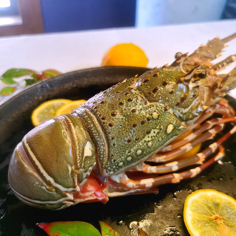 青龙虾价格