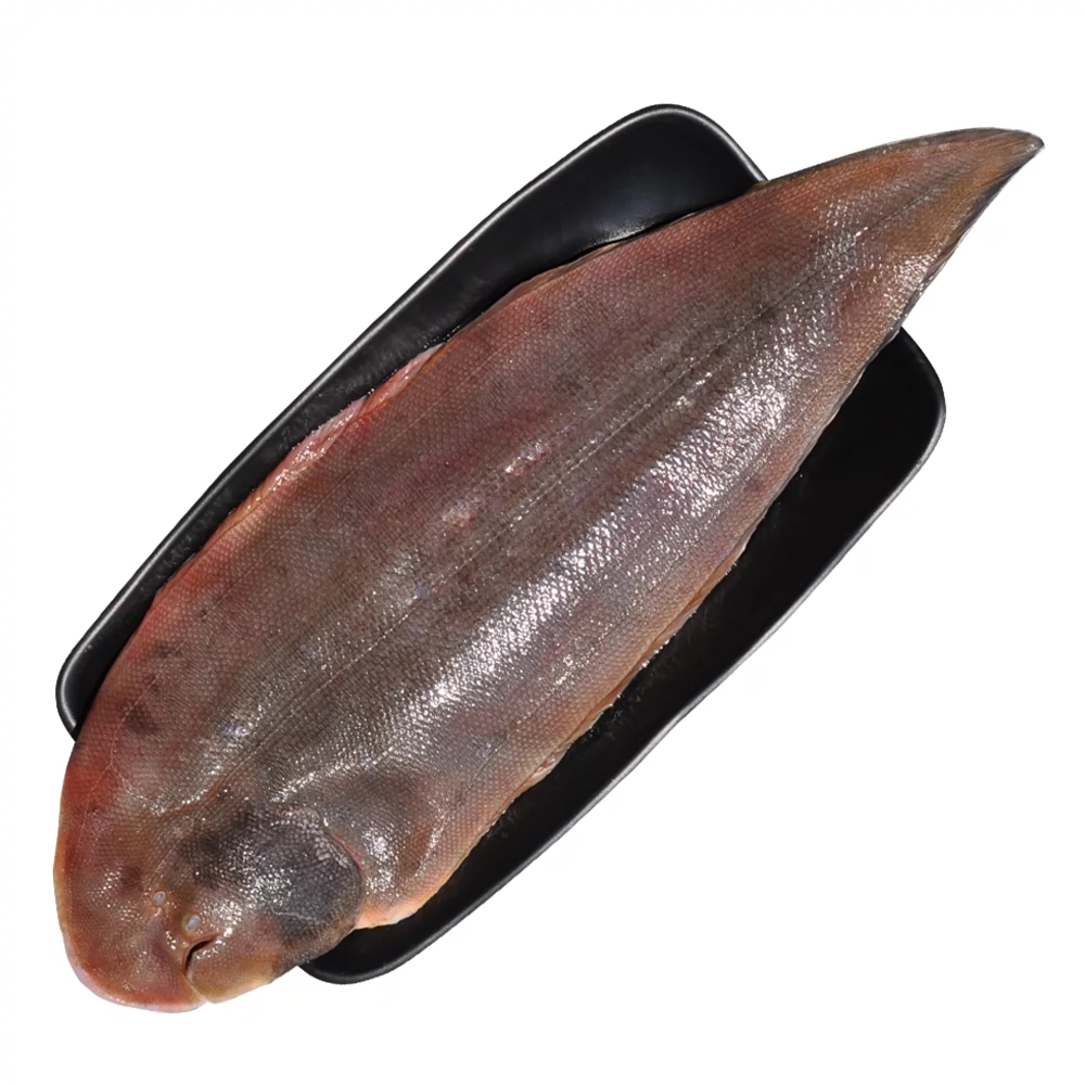 龙利鱼
