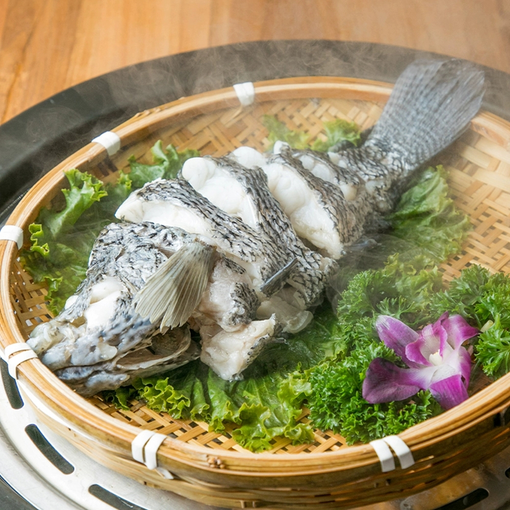 海产石斑鱼