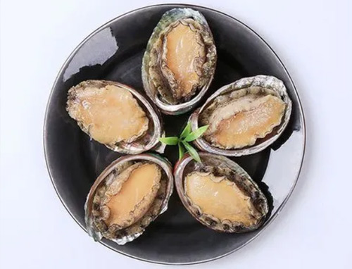 福建鲍又称福州鲍（Fuzhou Abalone）