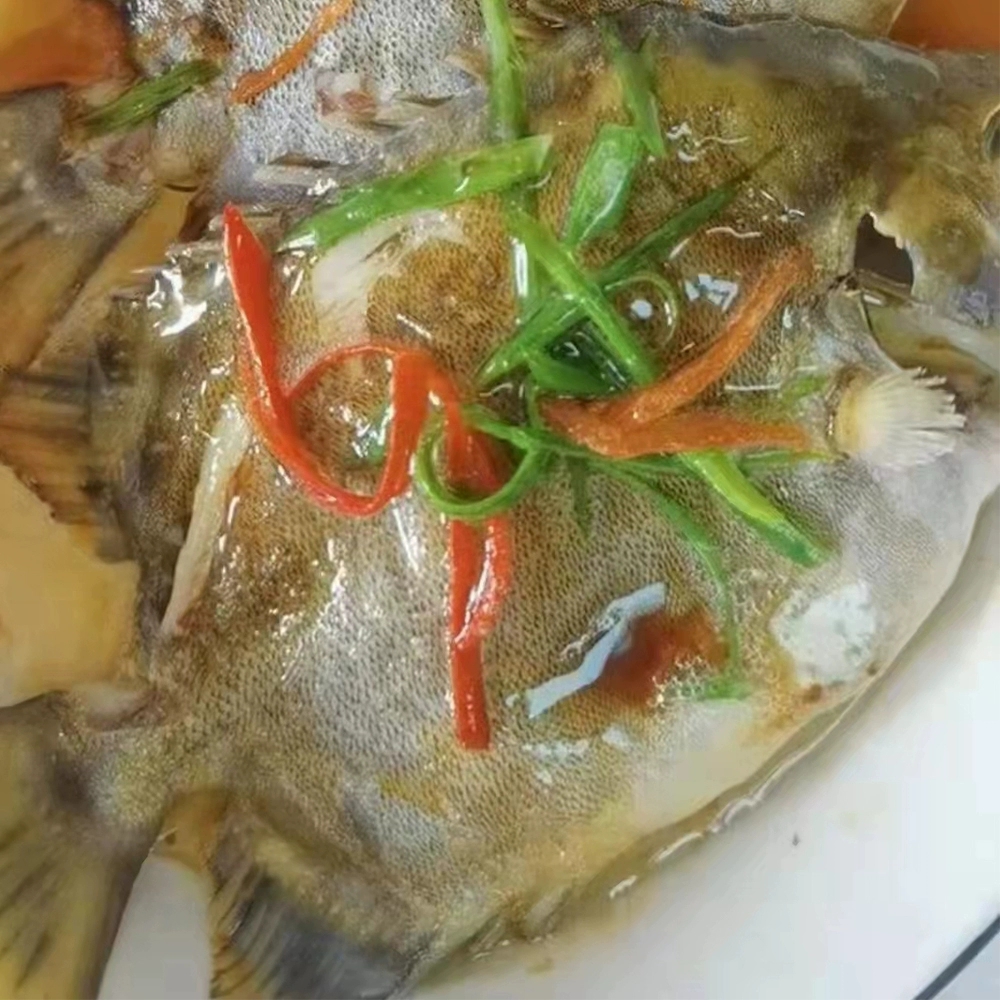 银鼓鱼批发