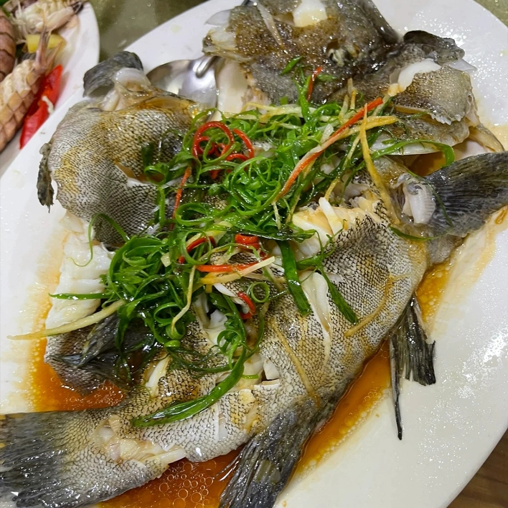 海鲜批发石斑鱼