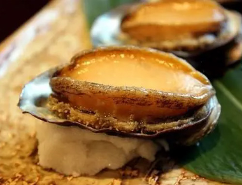 明石鲍（Akashi Abalone）是一种鲍鱼品种。