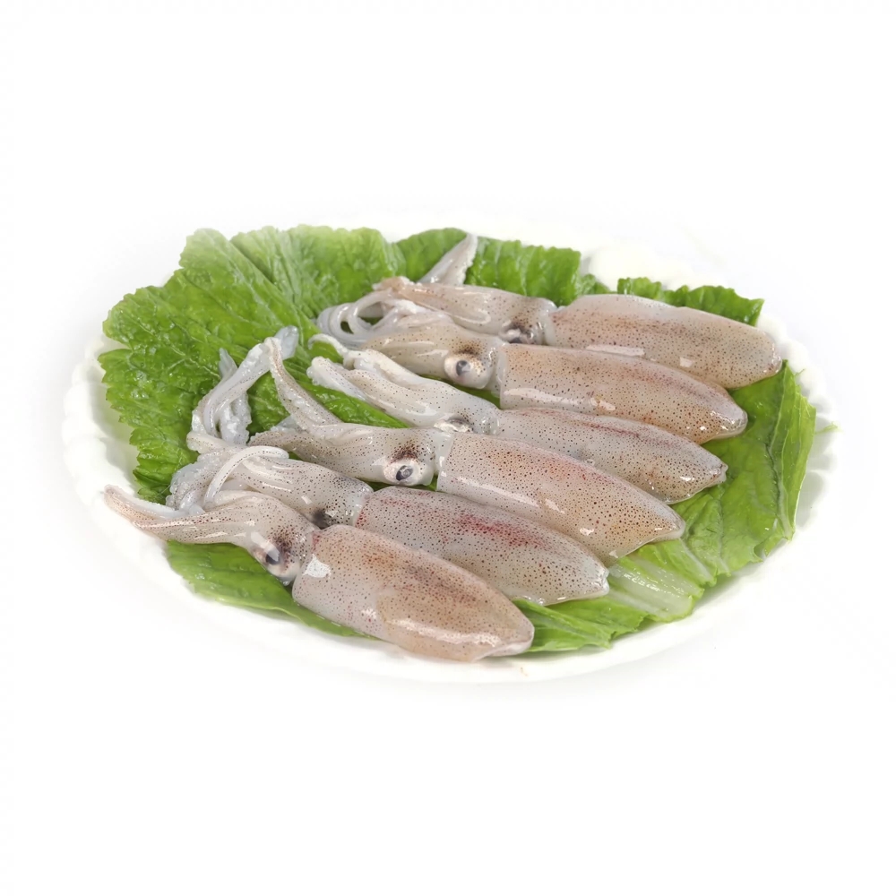 鱿鱼
