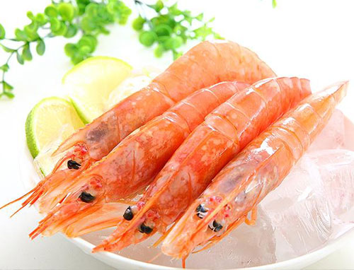 阿根廷红虾也被称为阿根廷红脊虾或红尾虾