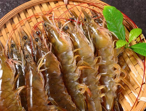 基围虾也被称为红螯虾、河虾、淡水龙虾